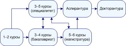 Разветвленная схема траектории образовательного процесса в ОмГПУ