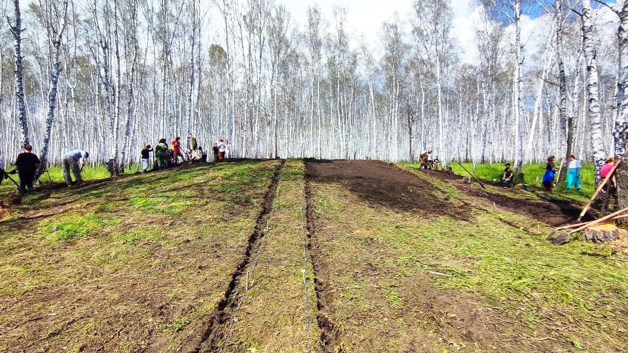 Проект археологические находки