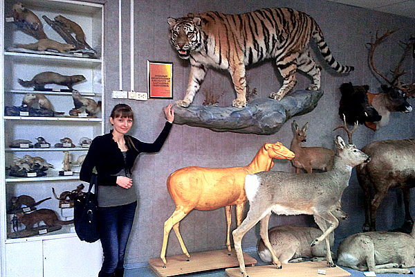 Зоологический музей ТюмГУ