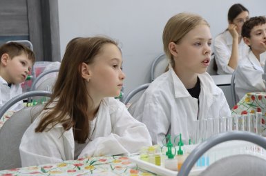 Студенты