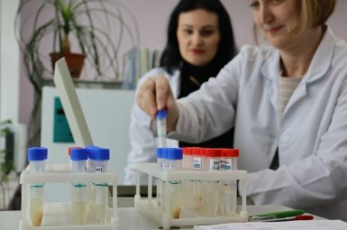 Студенты